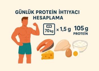 Günlük Protein İhtiyacı Hesaplama