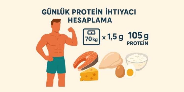 Günlük Protein İhtiyacı Hesaplama