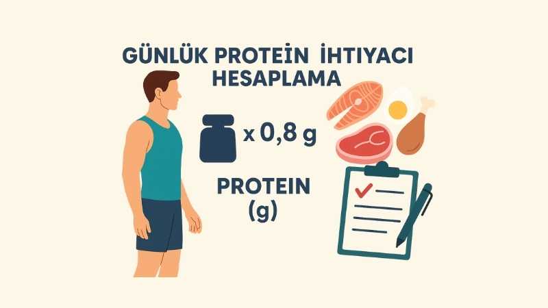 Günlük Protein İhtiyacı Hesaplama