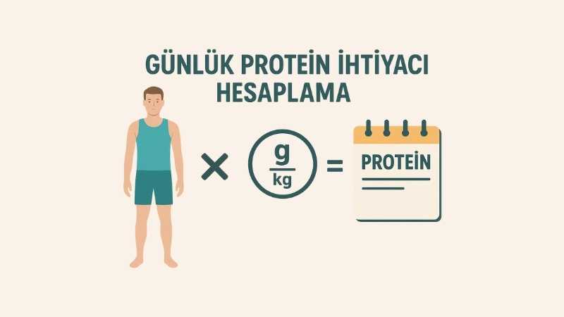 Günlük Protein İhtiyacı Hesaplama
