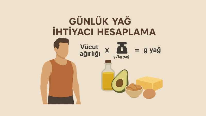Günlük Yağ İhtiyacı Hesaplama