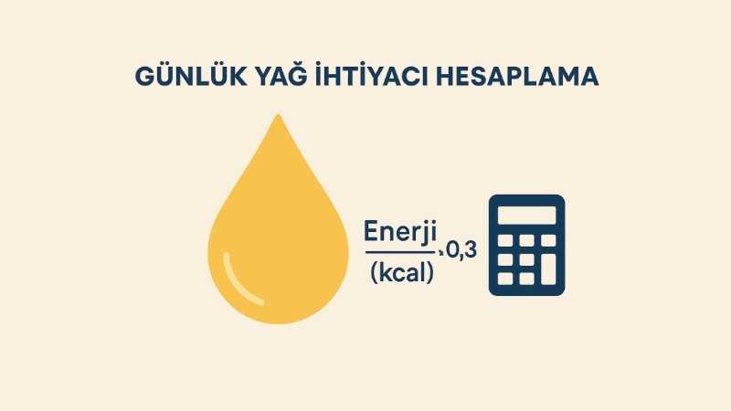 Günlük Yağ İhtiyacı Hesaplama