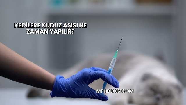 Kedilere Kuduz Aşısı Ne Zaman Yapılır?