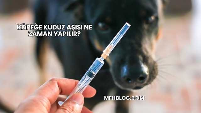Köpeğe Kuduz Aşısı Ne Zaman Yapılır?