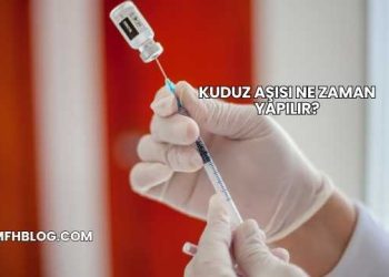 Kuduz Aşısı Ne Zaman Yapılır?