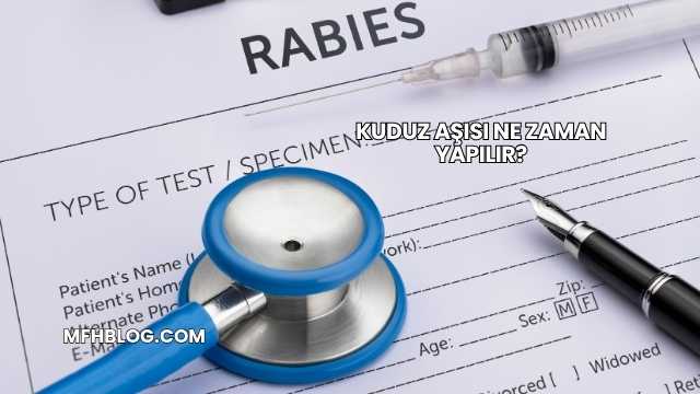 Kuduz Aşısı Ne Zaman Yapılır?