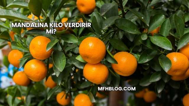 Mandalina Kilo Verdirir mi?