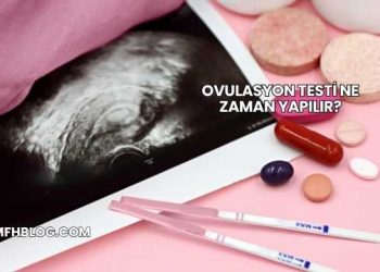 Ovulasyon Testi Ne Zaman Yapılır?