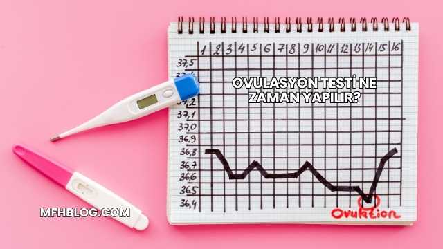 Ovulasyon Testi Ne Zaman Yapılır?