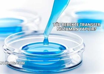 Tüp Bebekte Transfer Ne Zaman Yapılır?