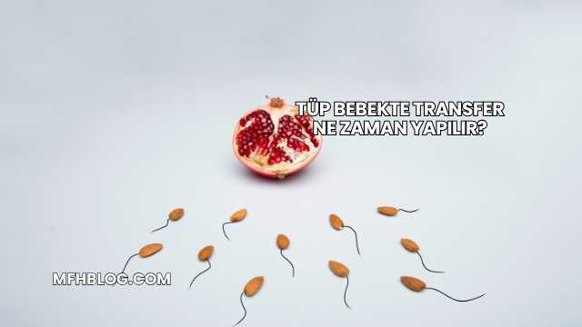 Tüp Bebekte Transfer Ne Zaman Yapılır?