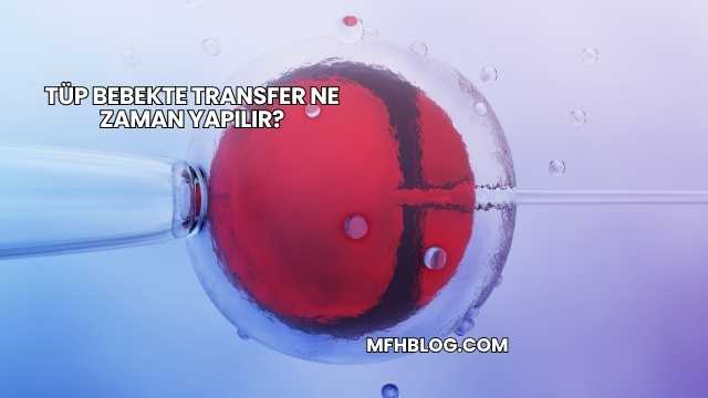 Tüp Bebekte Transfer Ne Zaman Yapılır?