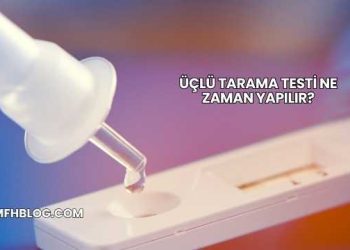 Üçlü Tarama Testi Ne Zaman Yapılır?