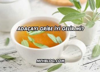 Adaçayı Gribe İyi Gelir mi?