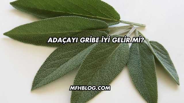 Adaçayı Gribe İyi Gelir mi?