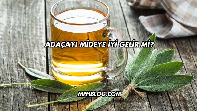 Adaçayı Mideye İyi Gelir mi?