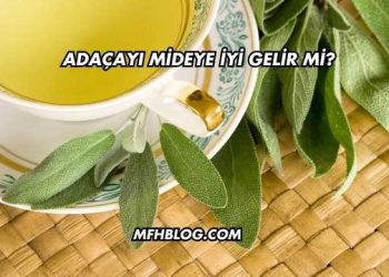 Adaçayı Mideye İyi Gelir mi?