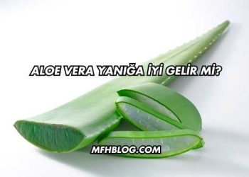 Aloe Vera Yanığa İyi Gelir mi?