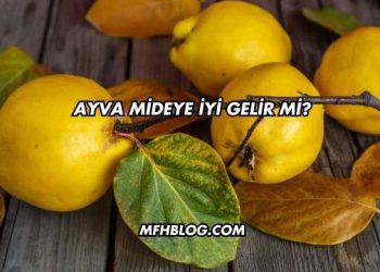 Ayva Mideye İyi Gelir mi?
