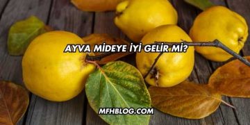 Ayva Mideye İyi Gelir mi?