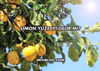 Limon Yüze İyi Gelir mi?