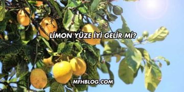 Limon Yüze İyi Gelir mi?