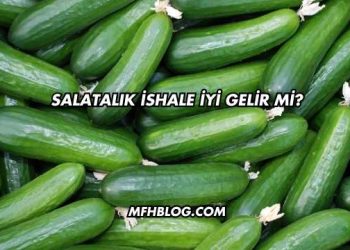 Salatalık İshale İyi Gelir mi?