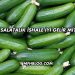 Salatalık İshale İyi Gelir mi?