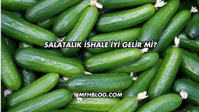 Salatalık İshale İyi Gelir mi?