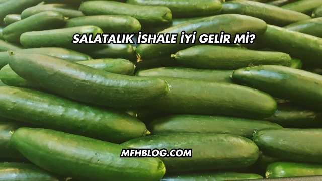 Salatalık İshale İyi Gelir mi?