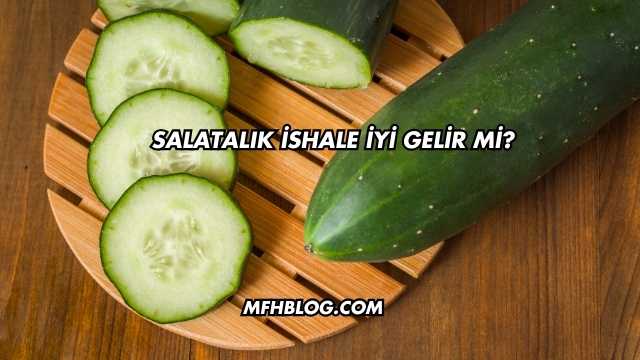 Salatalık İshale İyi Gelir mi?